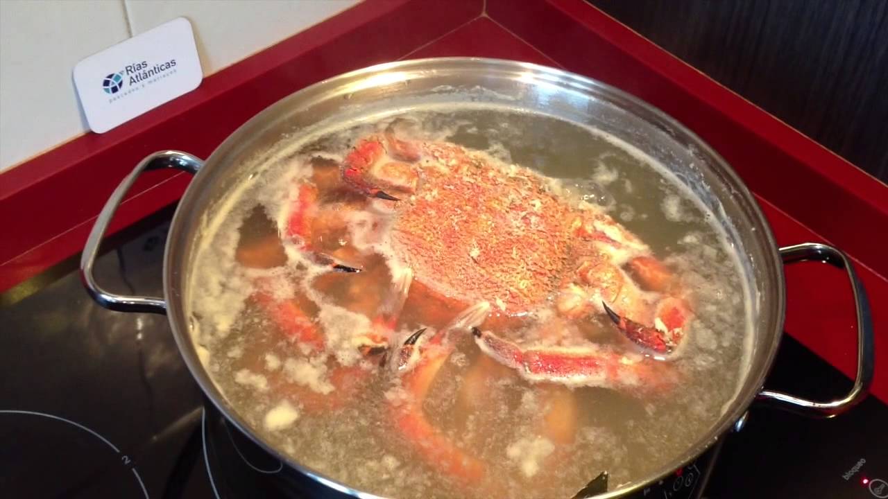 Cocer Centolla | Rías Atlánticas