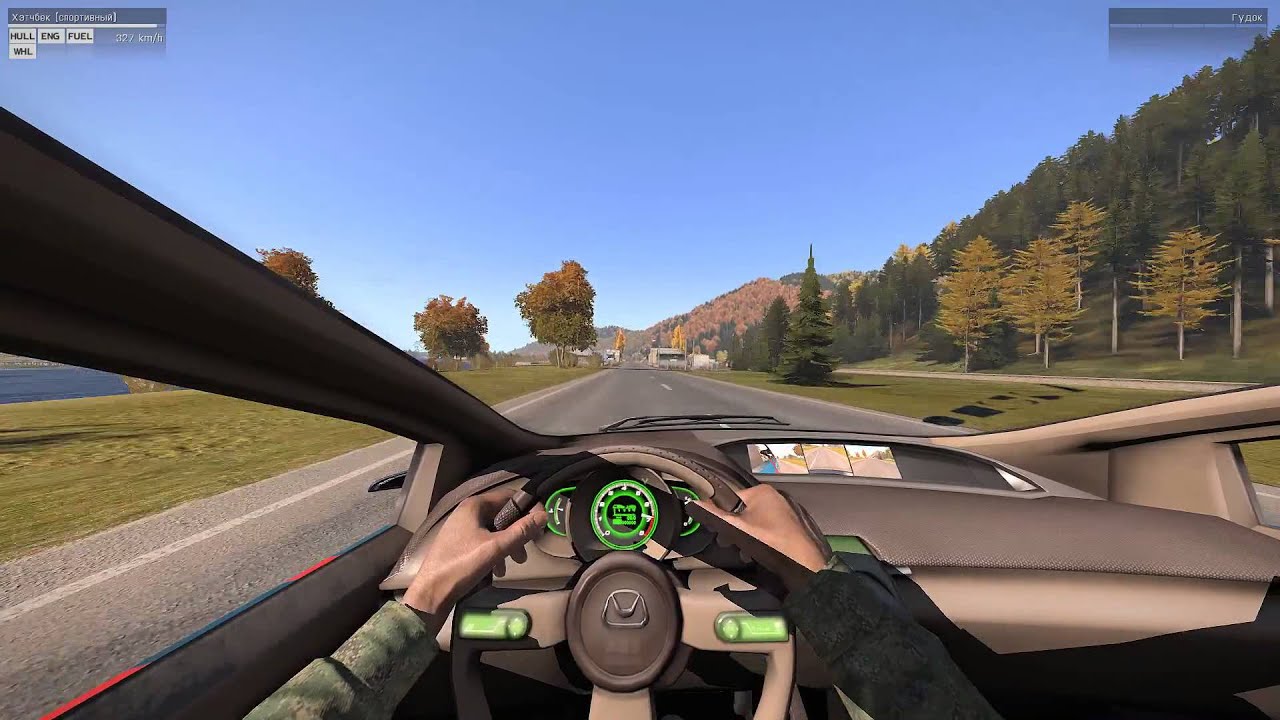 Мечта поклонника DayZ.