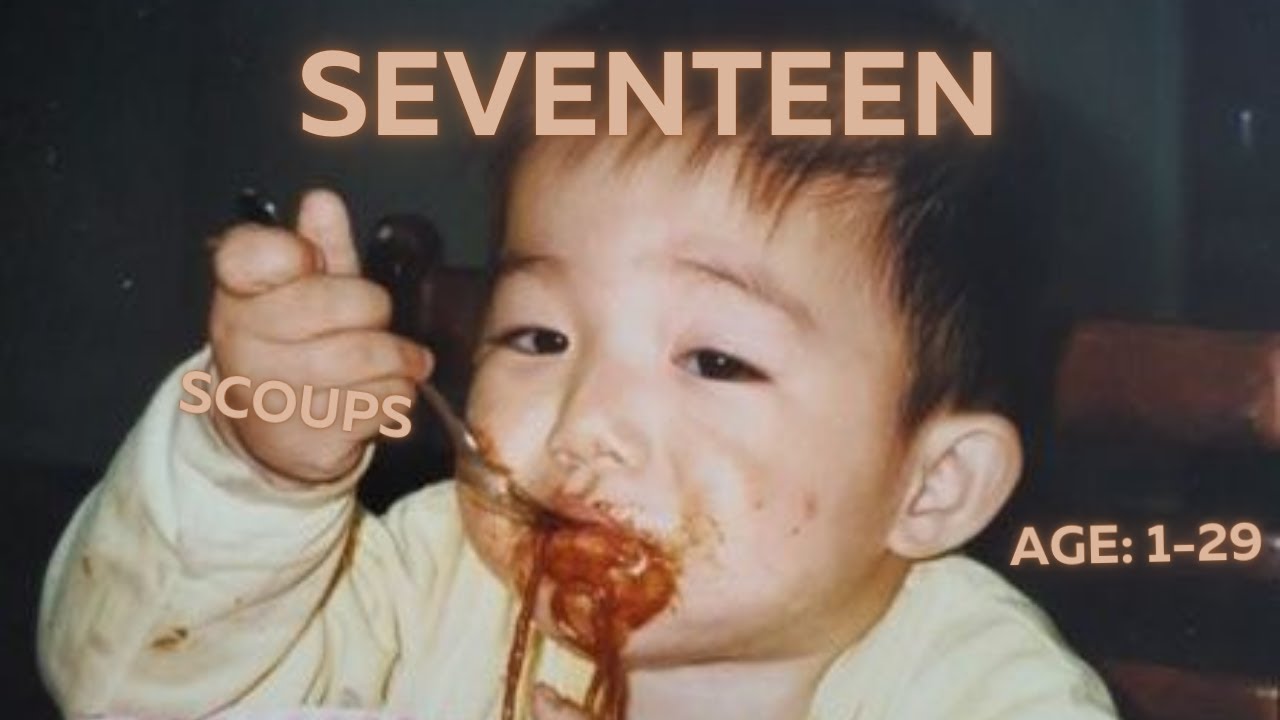 Seventeen's Scoups: From 1-29