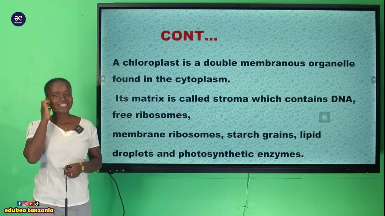 BIOLOGY  FORM V  NUTRITION  7  OF 72