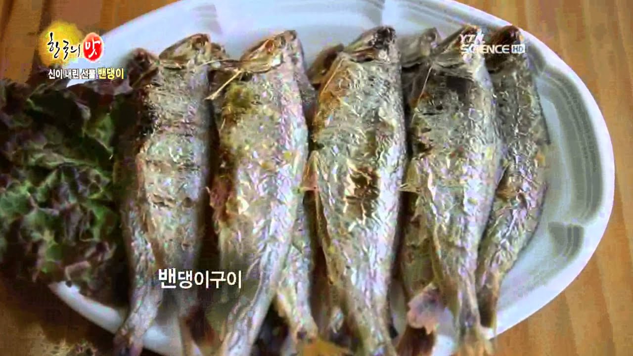 신이 내린 강화도의 선물 밴댕이&약쑥 / YTN 사이언스