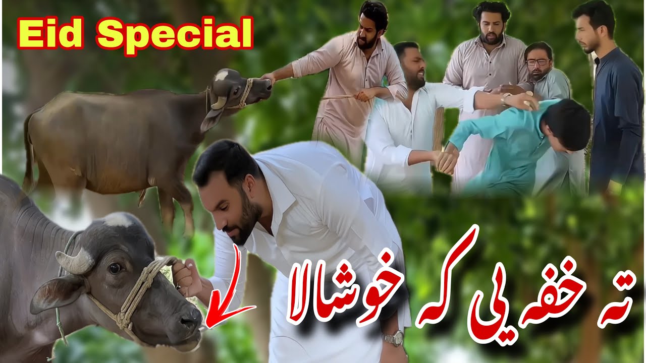 Ta Khafa Ye Ka Khushal | Eid Special New Funny Video | Azi Ki Vines 2024