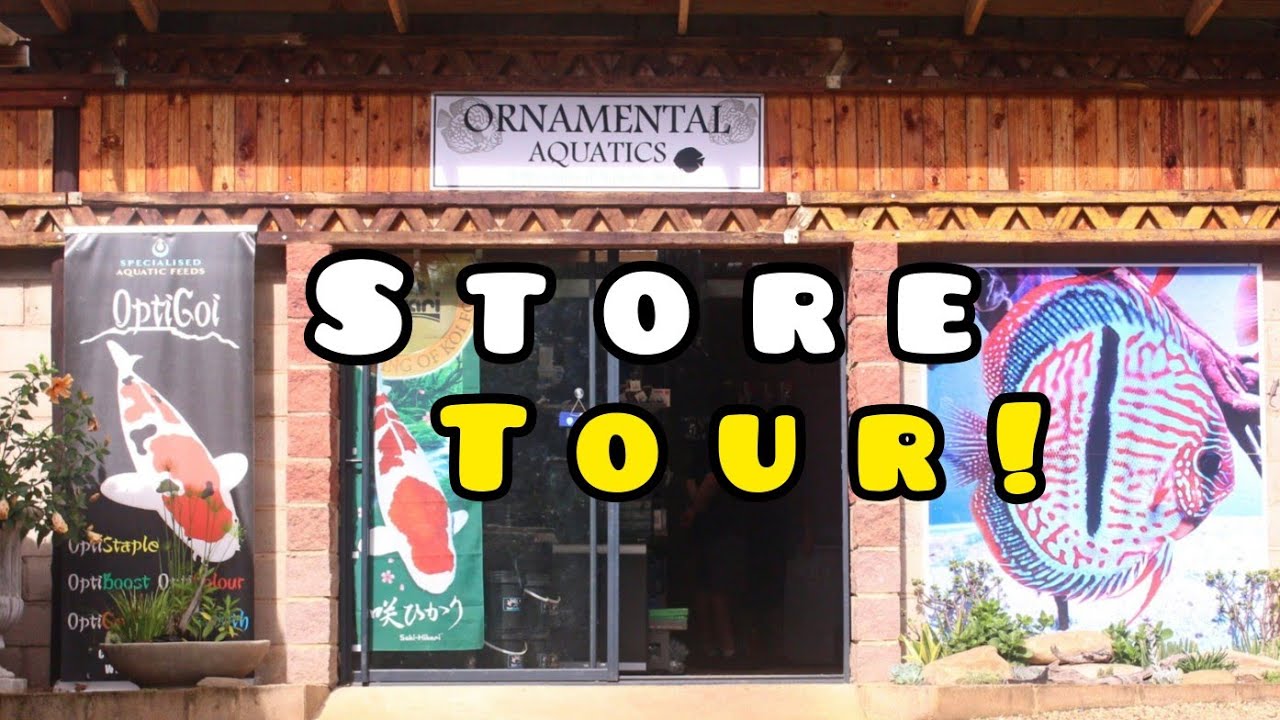 Discover ORNAMENTAL AQUATICS in Durban, South Africa.