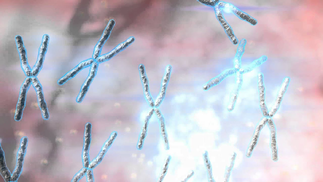 Epigenoma de la Leuc&egrave;mia Limf&agrave;tica Cr&ograve;nica