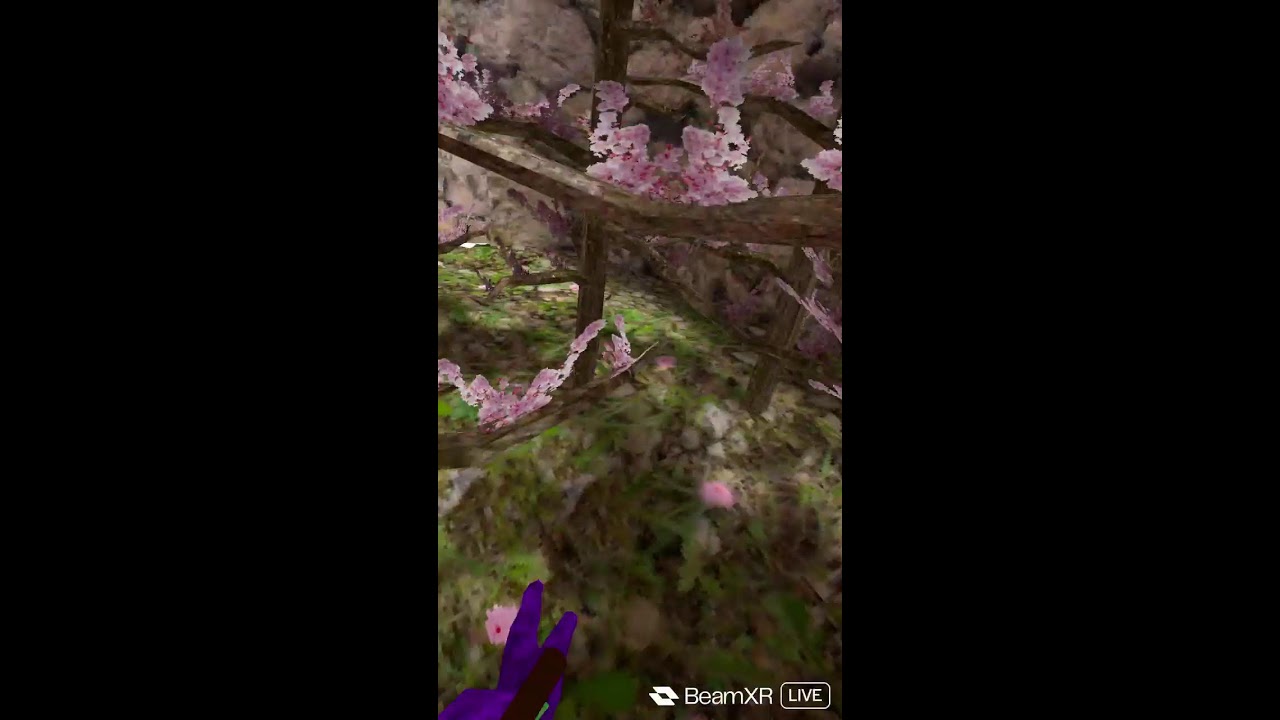 Streaming with BeamXR Live