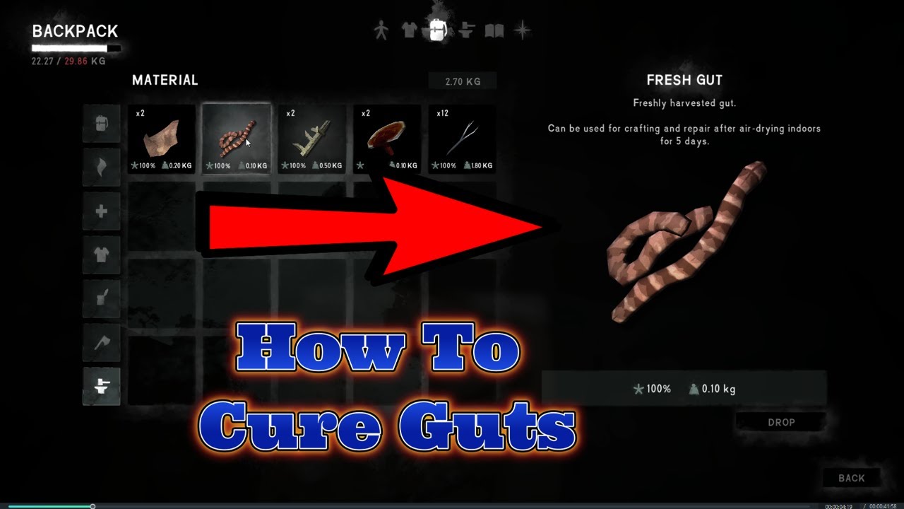 The Long Dark: How to Cure Guts