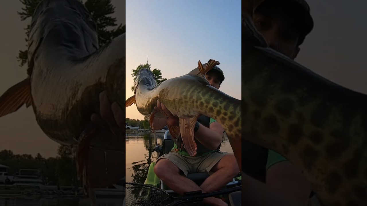 Monster Muskie on Lee Lures Boilermaker while Kayak Fishing!