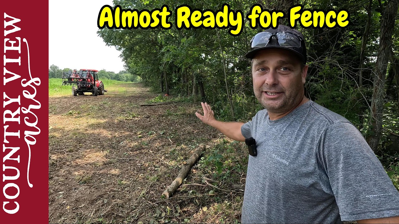 Cutting Down Trees, making way for new fence.  Planning ahead for this months projects.