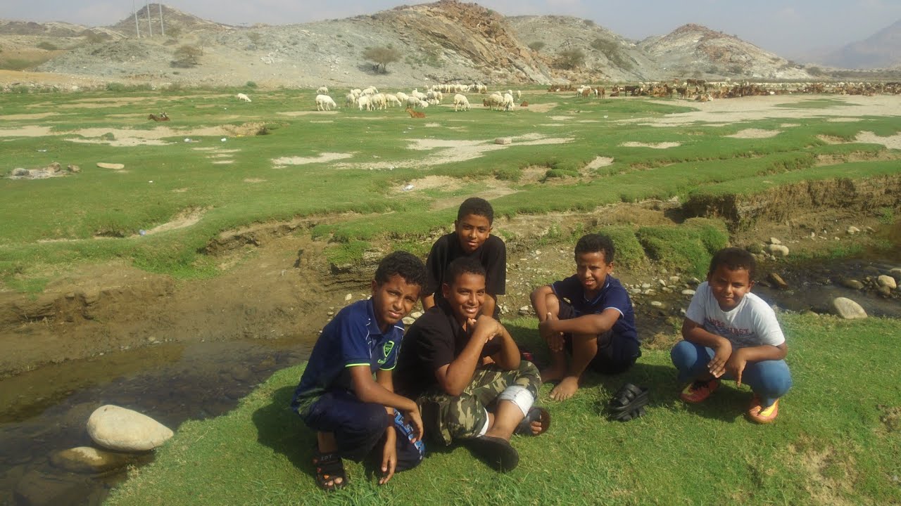 وادي البرداني