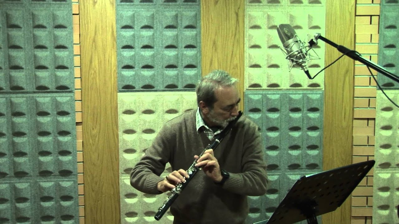 LUIS MEIRELES plays SÉRGIO AZEVEDO - Birds Chattering