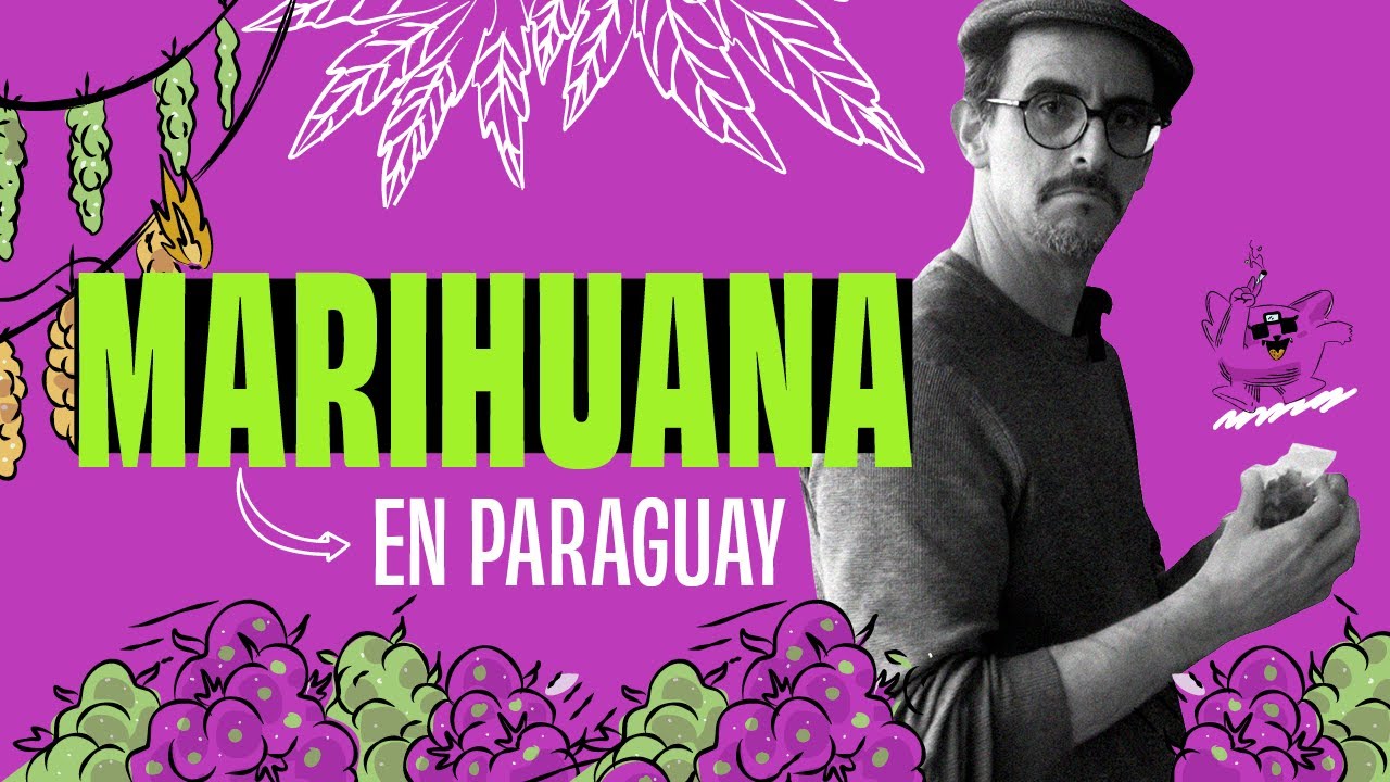 El Surti investiga | Marihuana en Paraguay: Por el imperio de la necesidad