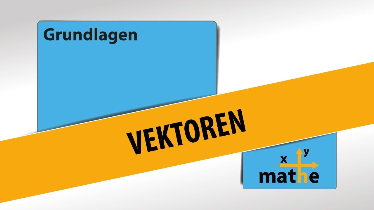 Basics zu den Vektoren