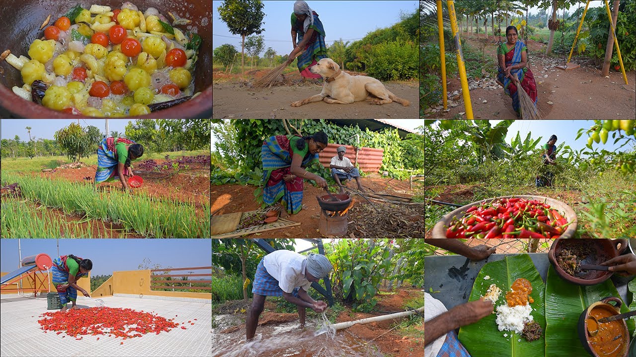 😇Farm Morning Routine, மண்பானை சமையல்nu ஒரு அழகான நாளுங்க நம்ம தோட்டதுல 💚😍