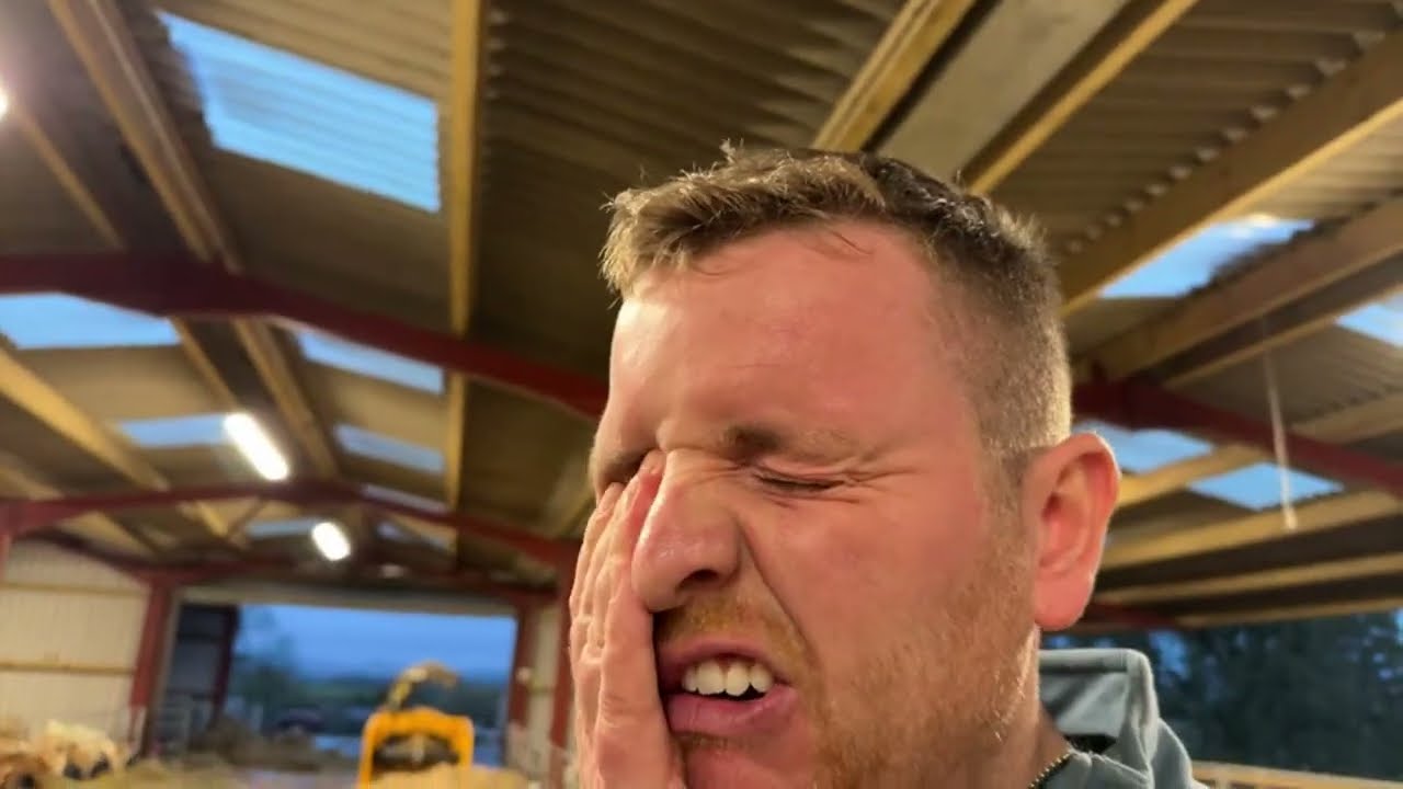 I wish I never laid eyes on pigs… Kyle blows a fuse and the pressure mounts at the farm…