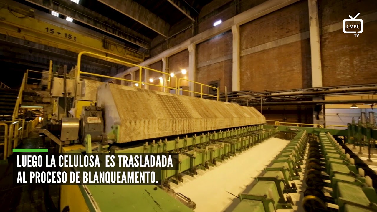 CMPC CELULOSA  CELULOSA RIOGRANDENSE   PRODUCCION DE CELULOSA