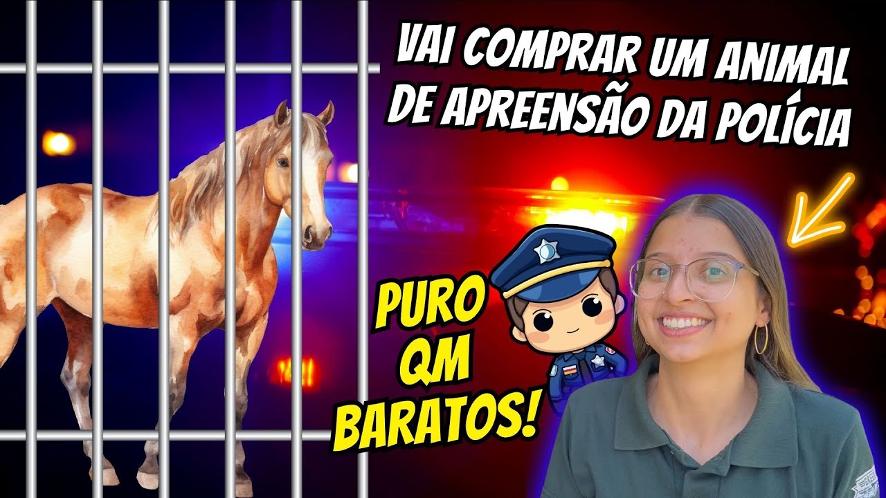 LEIL&Atilde;O DE CAVALOS PUROS APREENDIDOS PELA JUSTI&Ccedil;A - MINHA NAMORADA SE INTERESSOU...