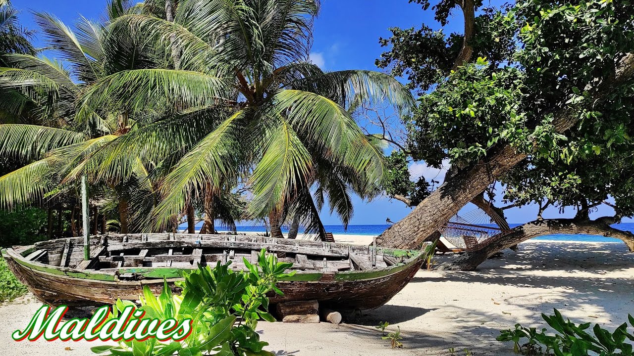 🇲🇻 | Malediwy 🌴 | Dharavandhoo 🏝 | Kiha Beach **** 🐠🐟🦈 Baa Atoll