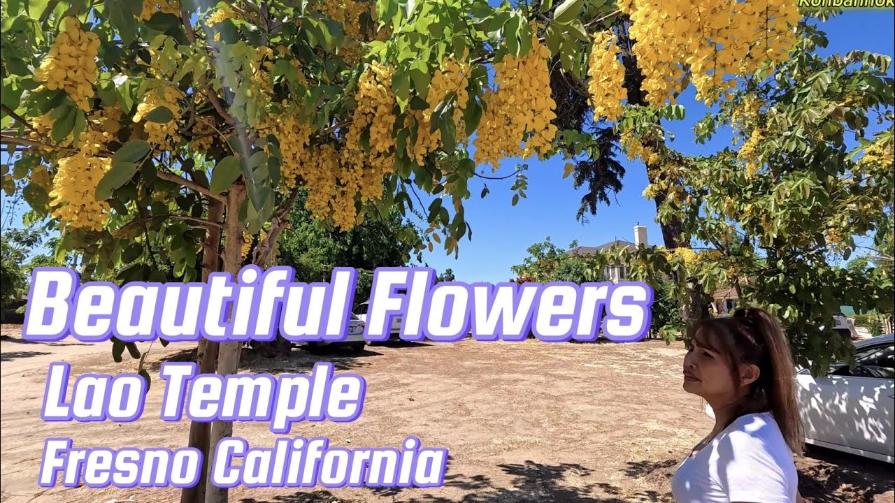 Beautiful flowers inside Lao temple / visiting Wat Teilman in Fresno, California