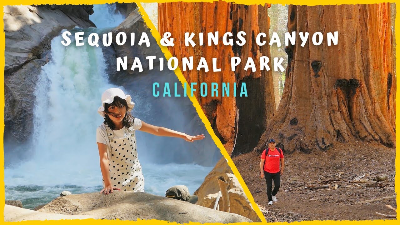 Sequoia National Park - Things to do in Sequoia & Kings Canyon National Parks