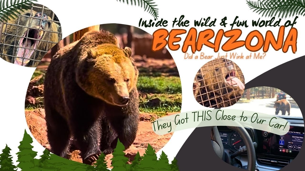 The Coolest Drive-Thru Zoo Ever! | Meeting Real Bears Up Close