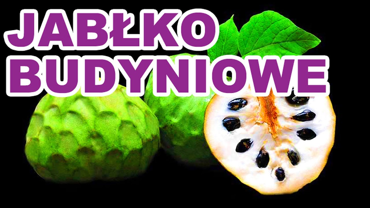 Jablko Budyniowe - Bangkok, Tajlandia #277 2015.11.30 (3/3)