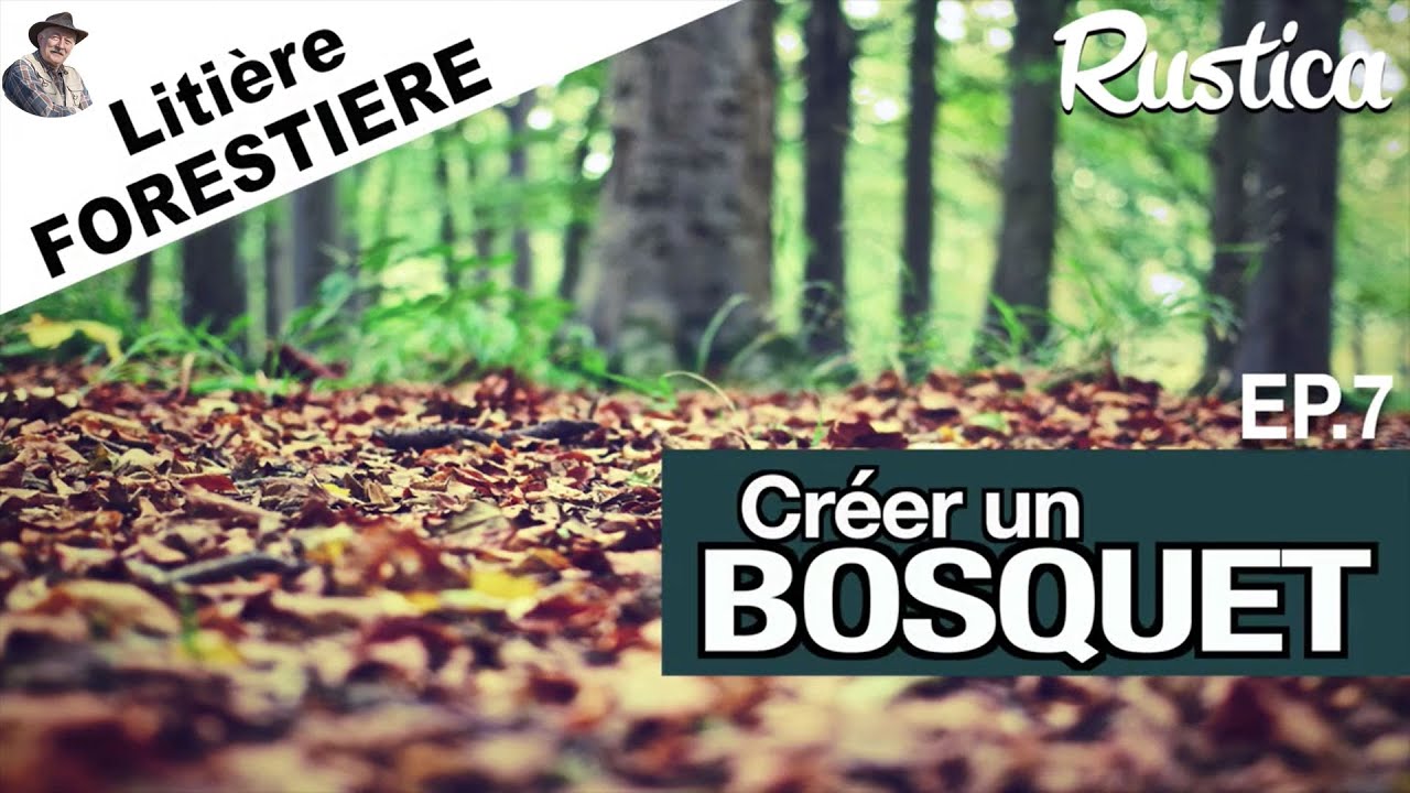 Créer un bosquet – 7 : Litière forestière