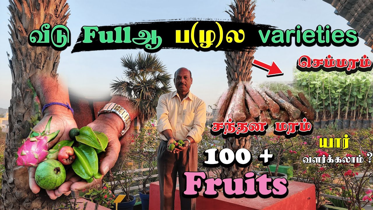 ஓய்வு பெற்ற துணை வேளாண் அலுவலரின் 