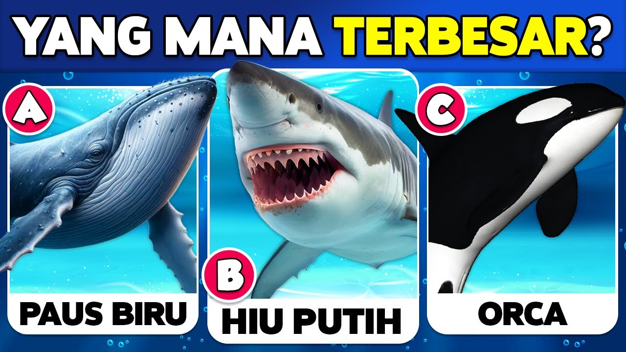 ✅ Seberapa Baik Pengetahuanmu Tentang HEWAN LAUT? 🐳🐬🐠 Kuis Pengetahuan Umum
