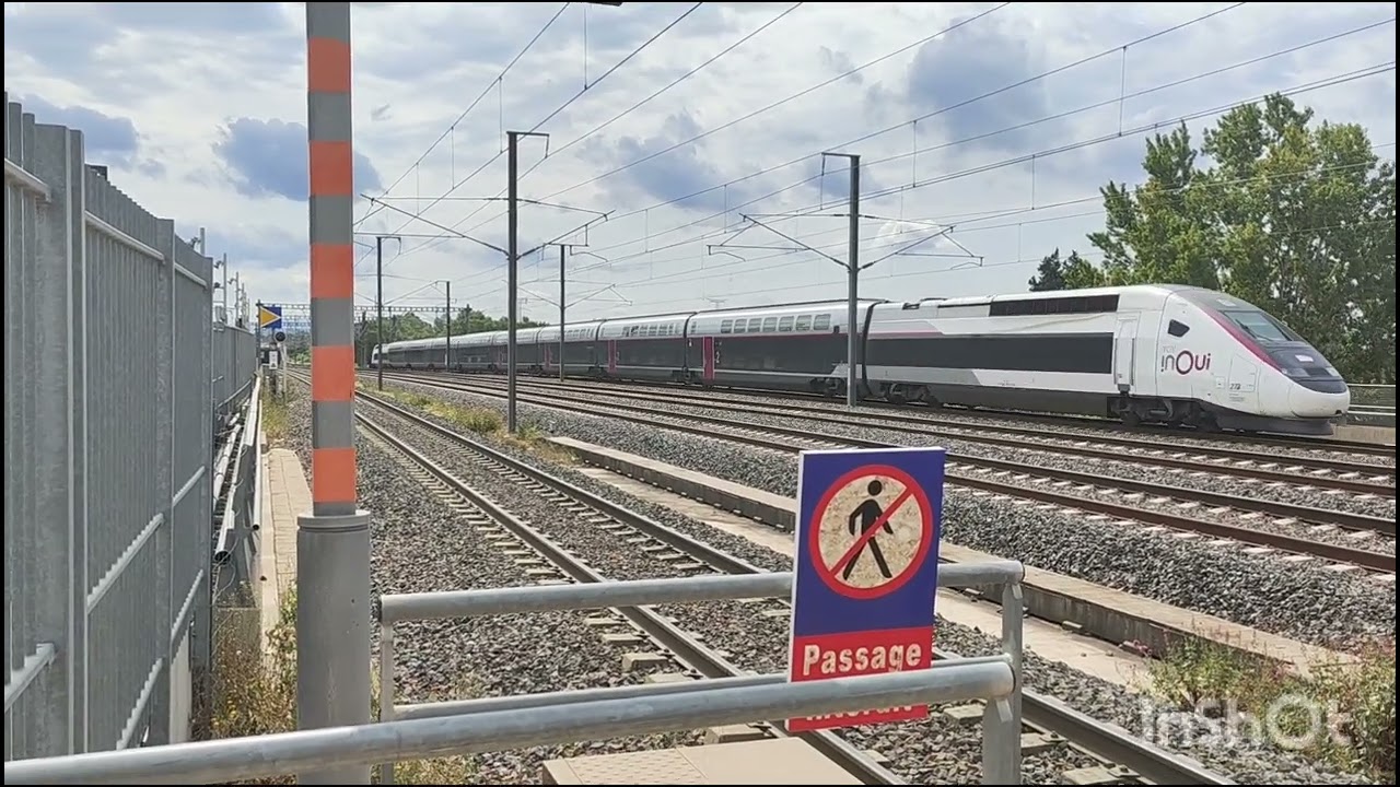 Avignon TGV : TER, TGV inOui, OUIGO, TGV Lyria, Eurostar,