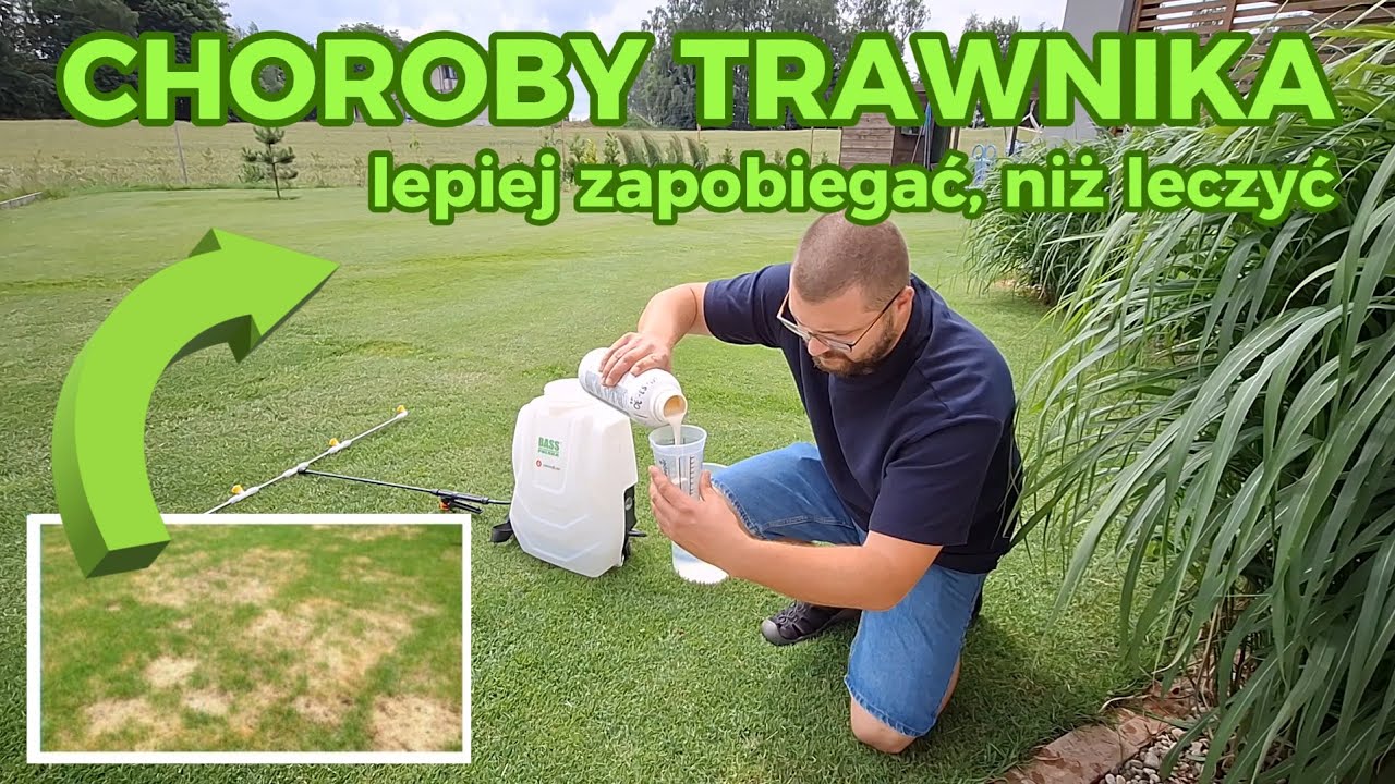 Jak zapobiegać chorobom grzybowym trawnika? Plusy i minusy stosowania fungicyd&oacute;w AMISTAR TAZER