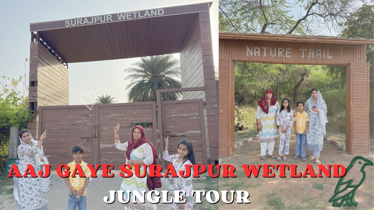 Aaj Gaye Surajpur Bird Sanctuary 🦅🦆!आज गए सूरजपुर बर्ड सैंचुरी 🦅🦆! Jungle Tour Must watch 