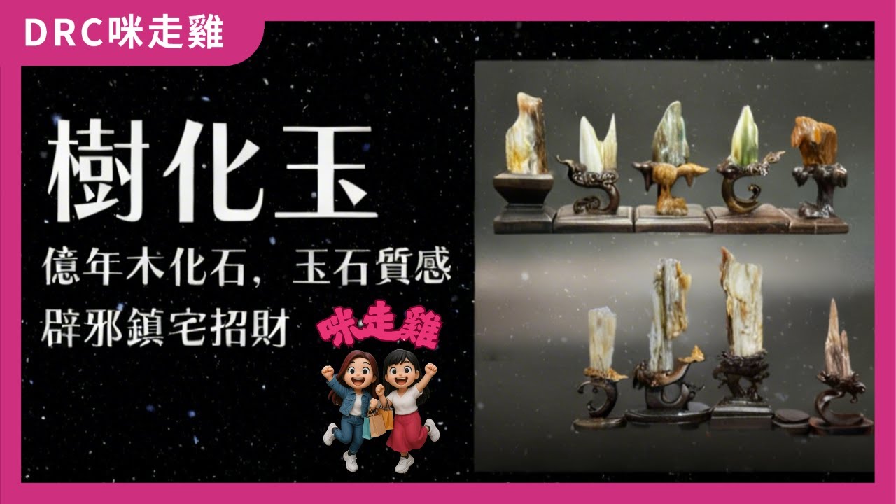 【咪走雞 DRC】樹化玉 辟邪鎮宅招財｜億年木化石、玉石質感｜#051 2026.02.13