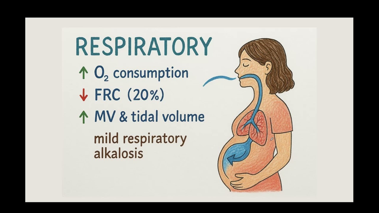 Physiological Changes During Pregnancy – Enhanced Clinical Anesthesia Lecture