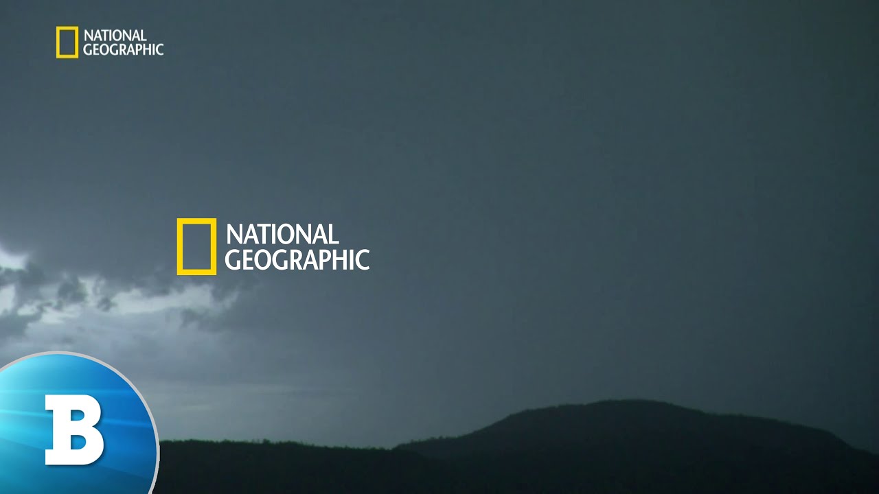 Raccolta bumper National Geographic