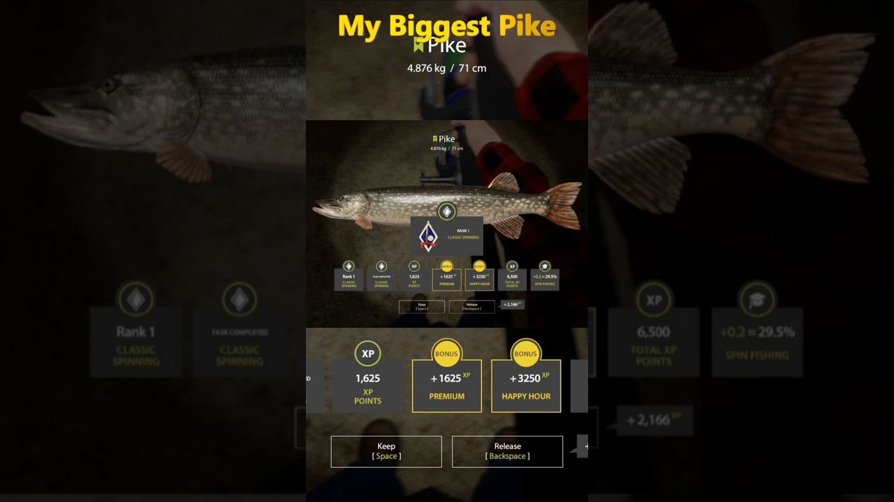 #russianfishing4  #pike #rf4  #fishing #bigfish #rf4spots