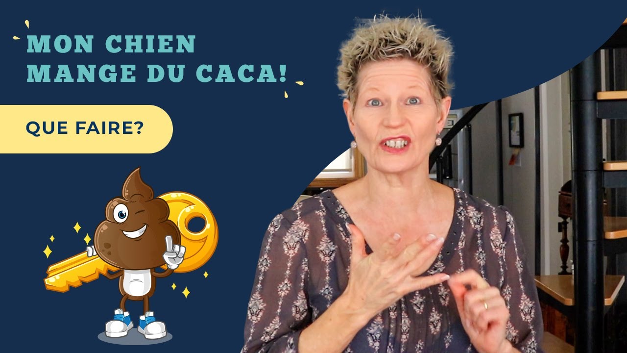 Mon chien mange du caca: que faire?
