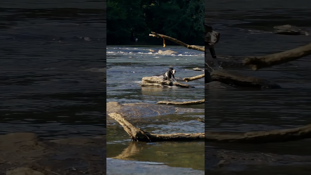 Fishing Lessons That Apply to Real Life 🌊