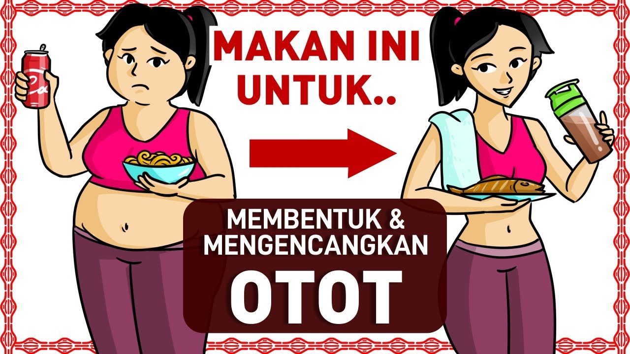 MAKANAN UNTUK DIET (TINGGI PROTEIN) | CARA MEMBENTUK OTOT DENGAN CEPAT