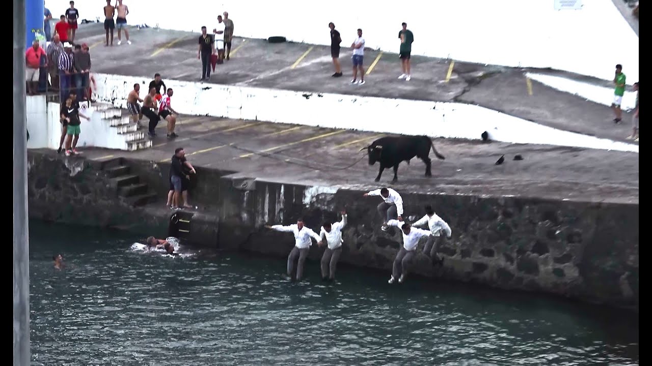Tourada Porto Judeu - Ganadaria JG Touros (68,9,82,11) - 17/7/2024 - Ilha Terceira - Açores