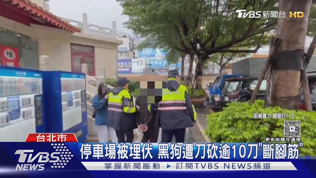 幫派恩怨被尋仇 天道盟「黑狗」遭砍斷腳筋｜TVBS新聞 