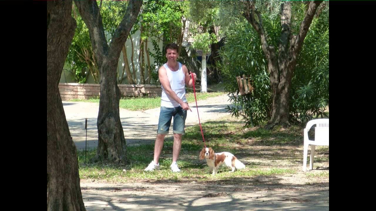 Camping Elena's Beach