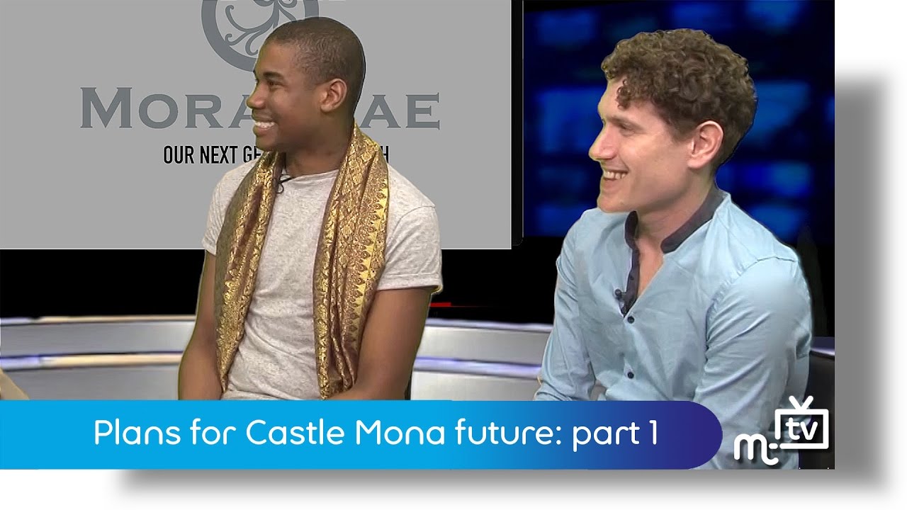 Plans for Castle Mona future: part one