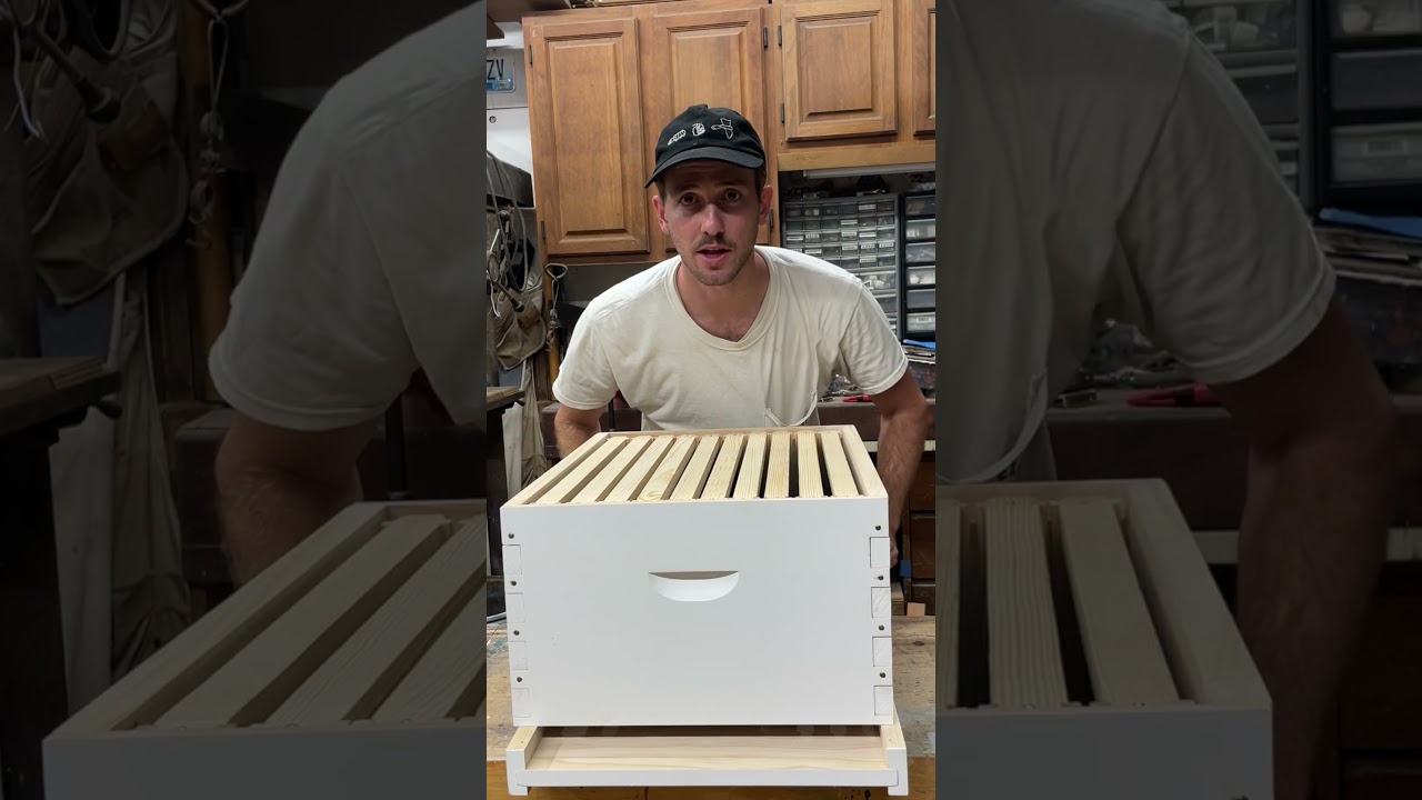 Building a Brand New Bee Box! #shorts #bees #honeybees #beebox #beehive #beekeeping #beekeeper #bee