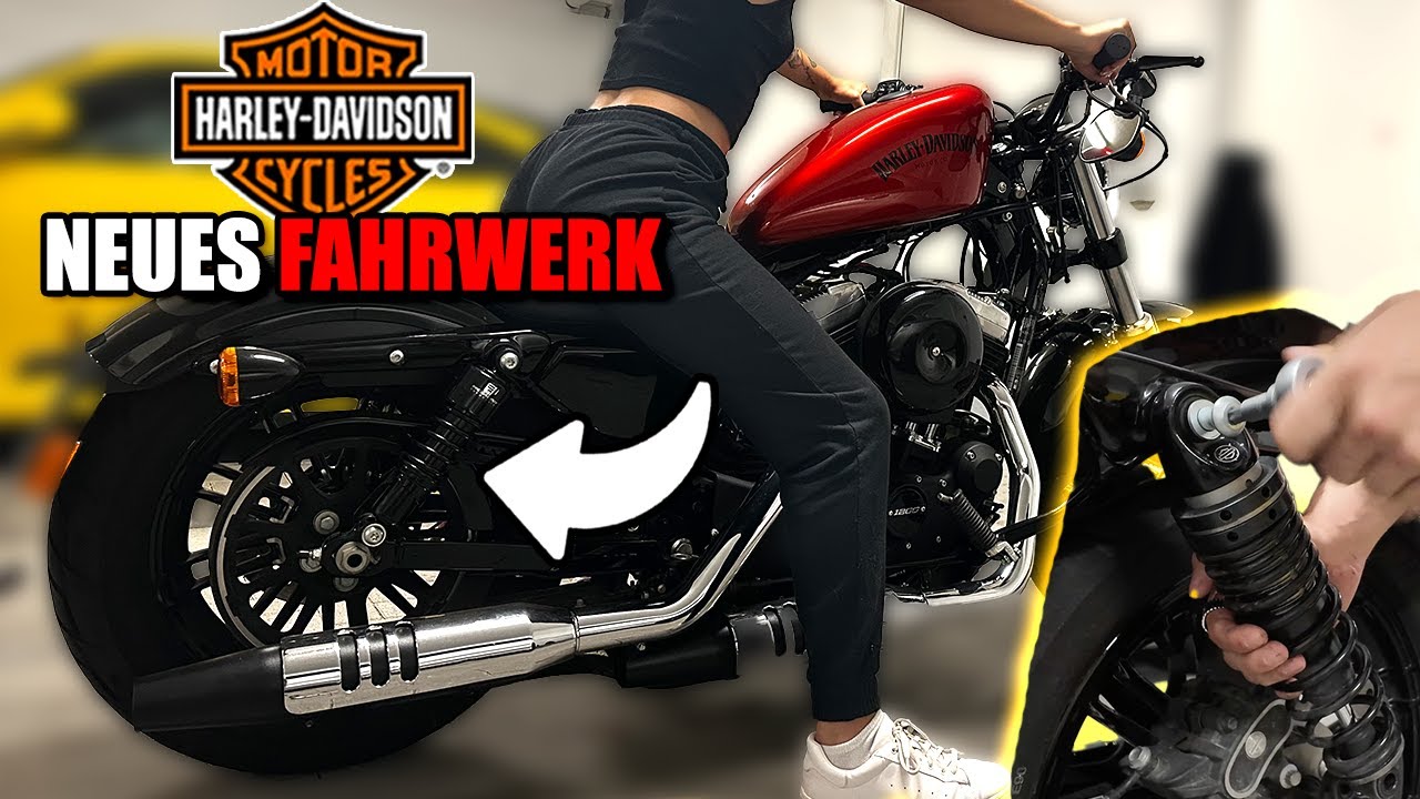 JETZT wird die Sportster TIEFERGELEGT! LOWERING SHOCKS - PROGRESSIVE | Dans Moto | ⚙️ How To ⚙️