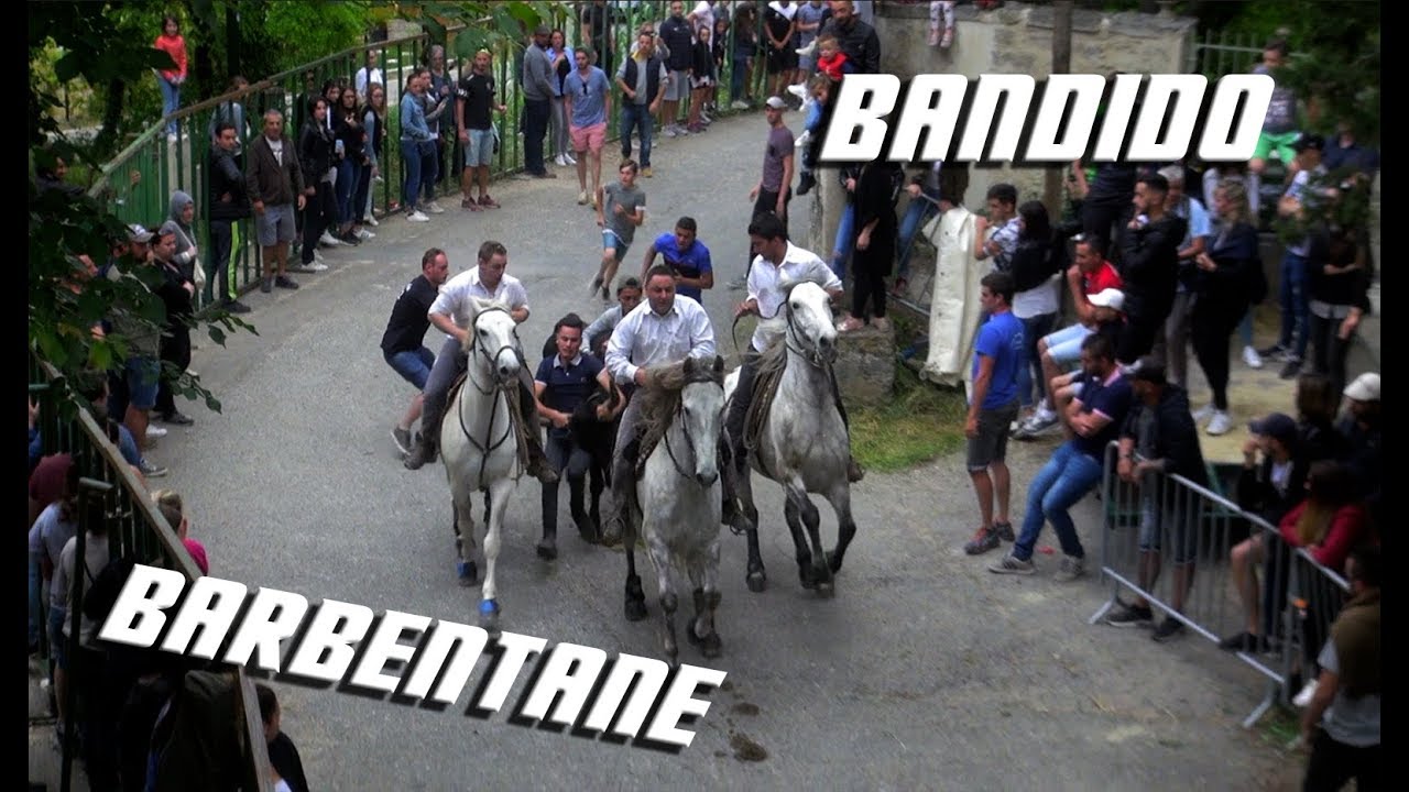BARBENTANE Bandido 9101112-05-2018 🐴