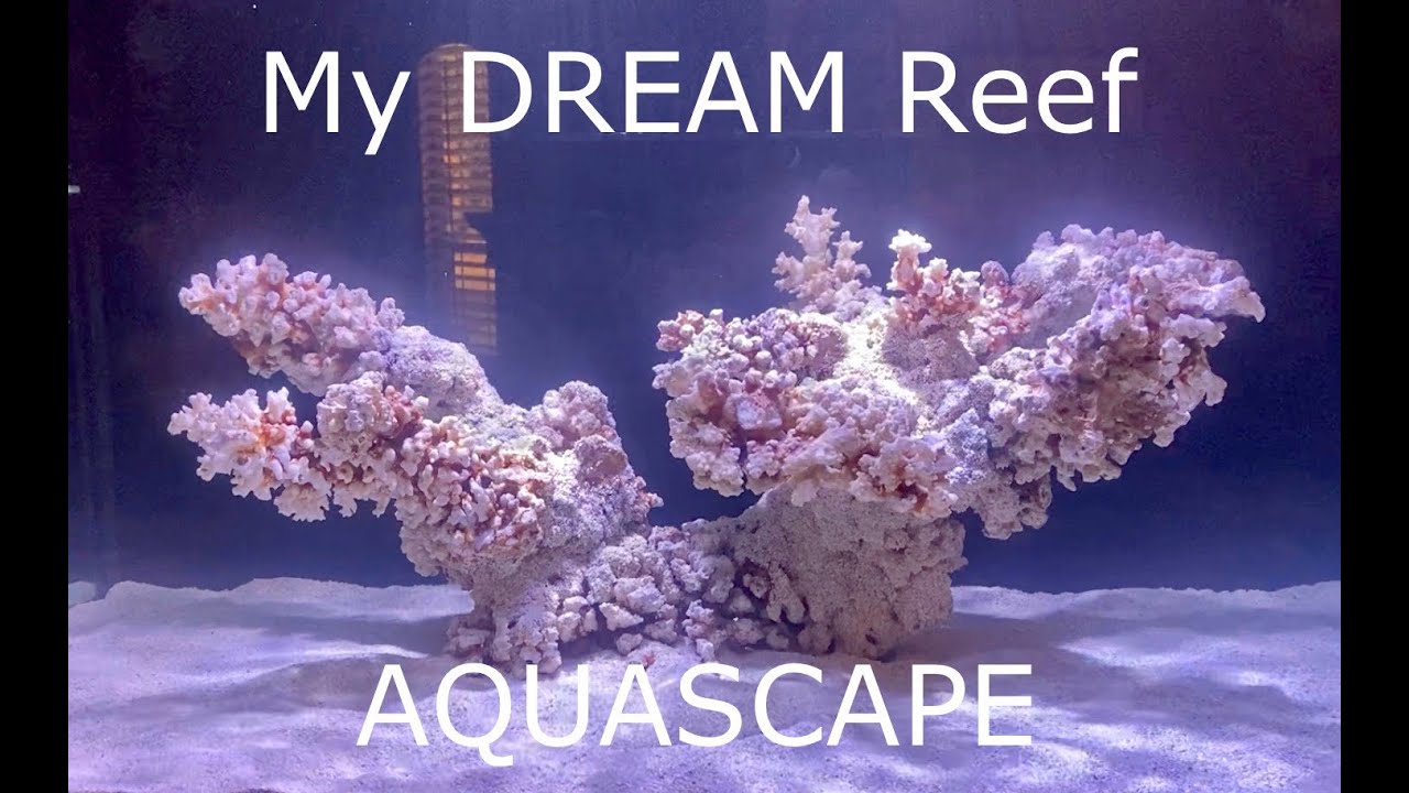 How to BUILD your DREAM Reef Aquascape