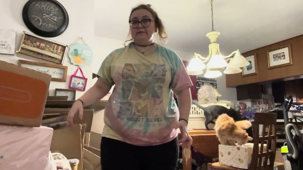 Cat Lady Box April & Pusheen Box Spring Opening #catladybox #pusheenbox