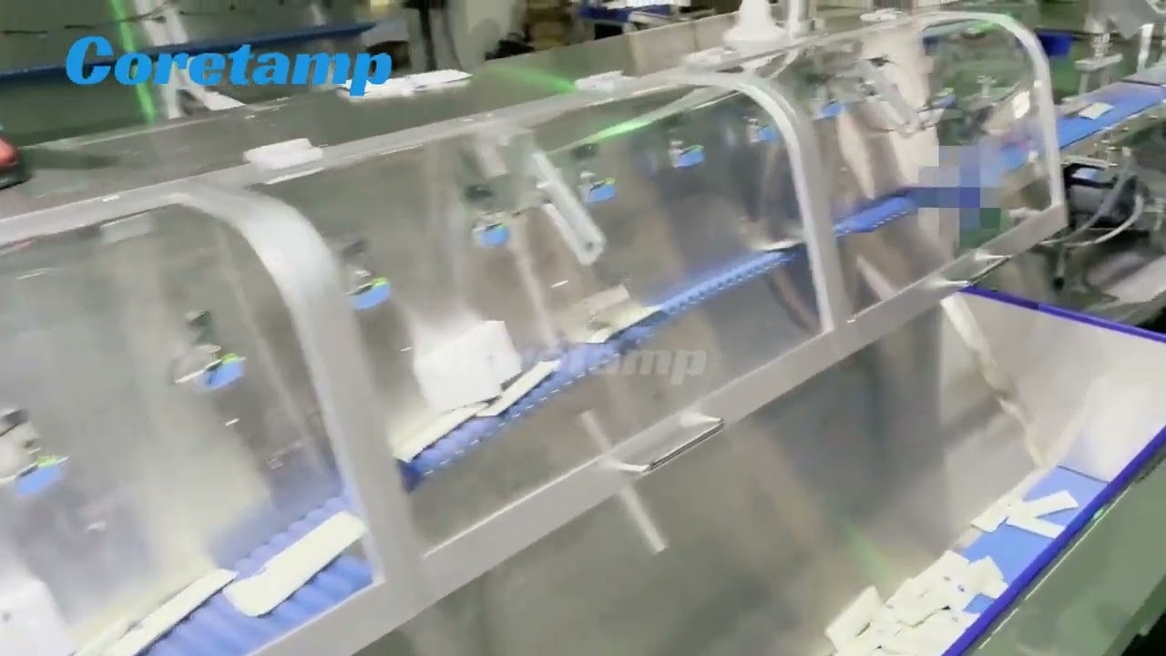 Bag sorting and counting machine connected to cartoning machine