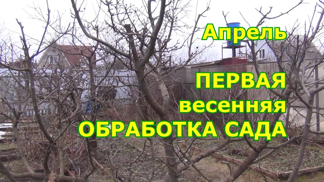 АПРЕЛЬ. 1-я ВЕСЕННЯЯ ОБРАБОТКА САДА