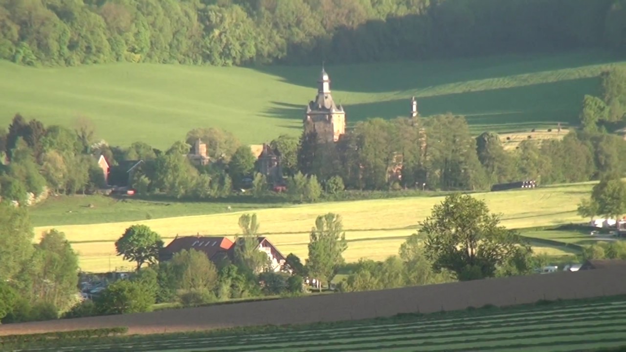 Grazende Koeien